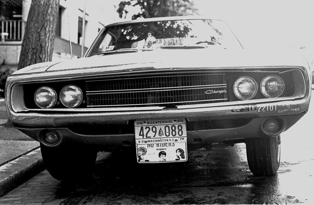 Photo #10478505