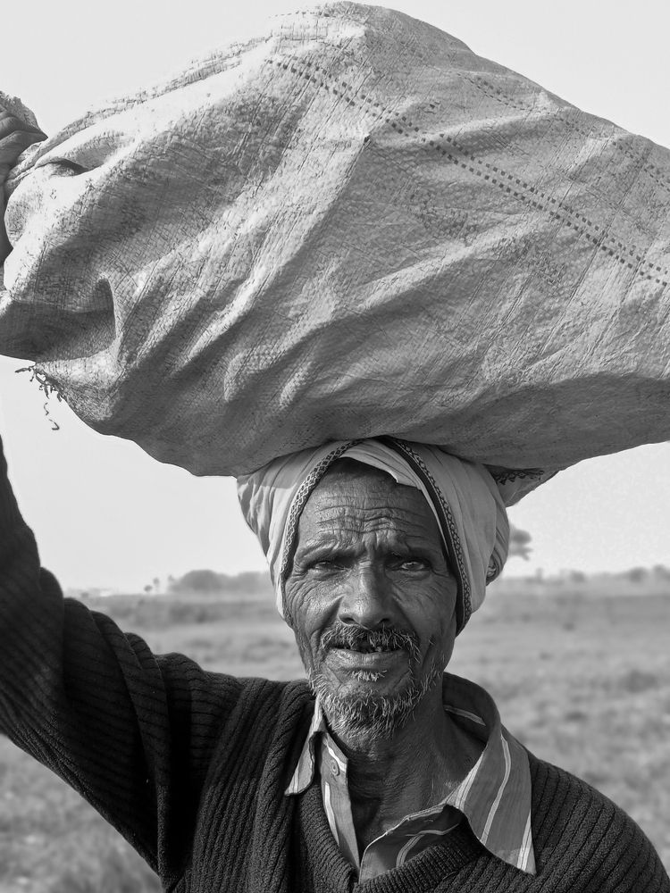 Photograph by Shivendra