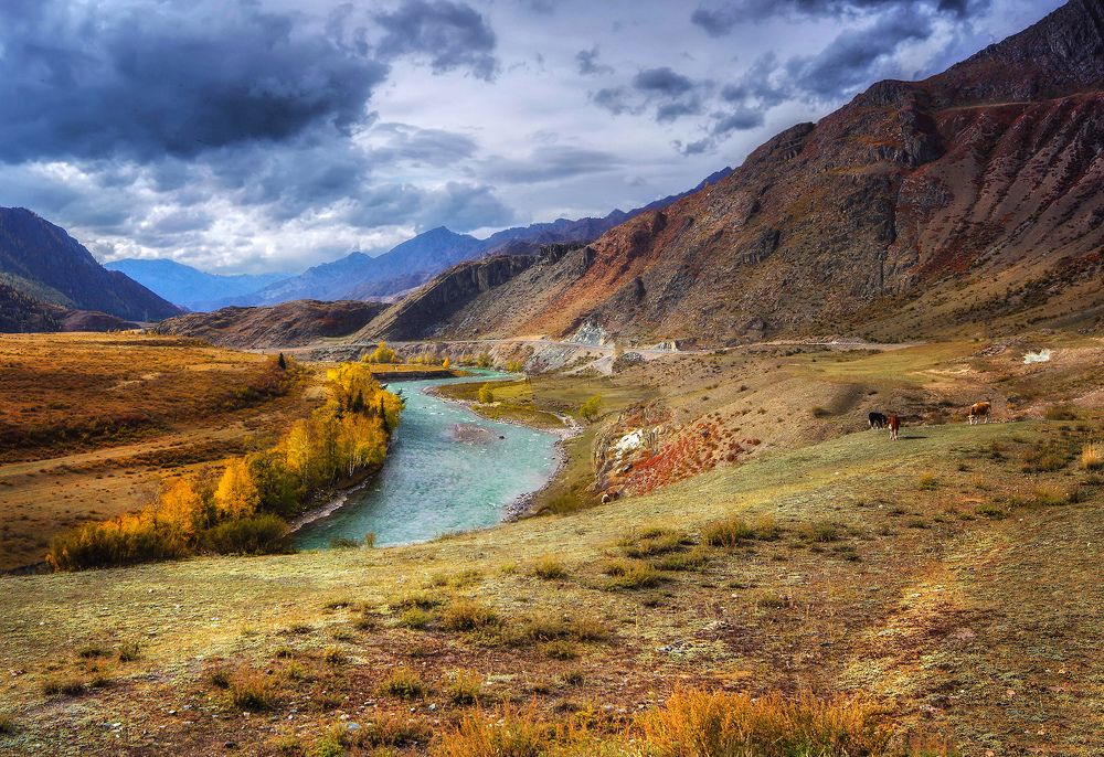 Photograph by Чичкин Валерий