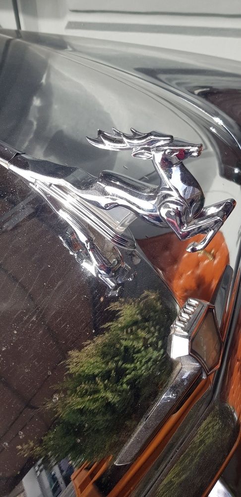 Фотография автора Ольга Мусина