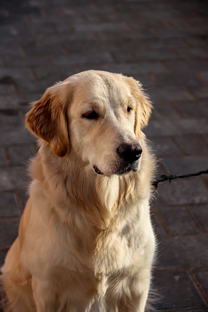 Photograph by Аня Косс