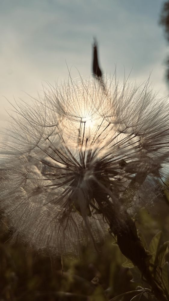 Photograph by Елена Гущина