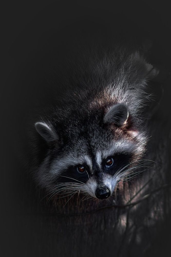 Photograph by Александр Соловьев