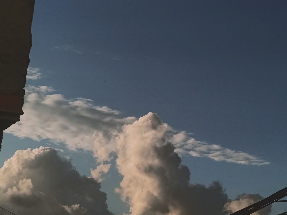 Photo #10478809
