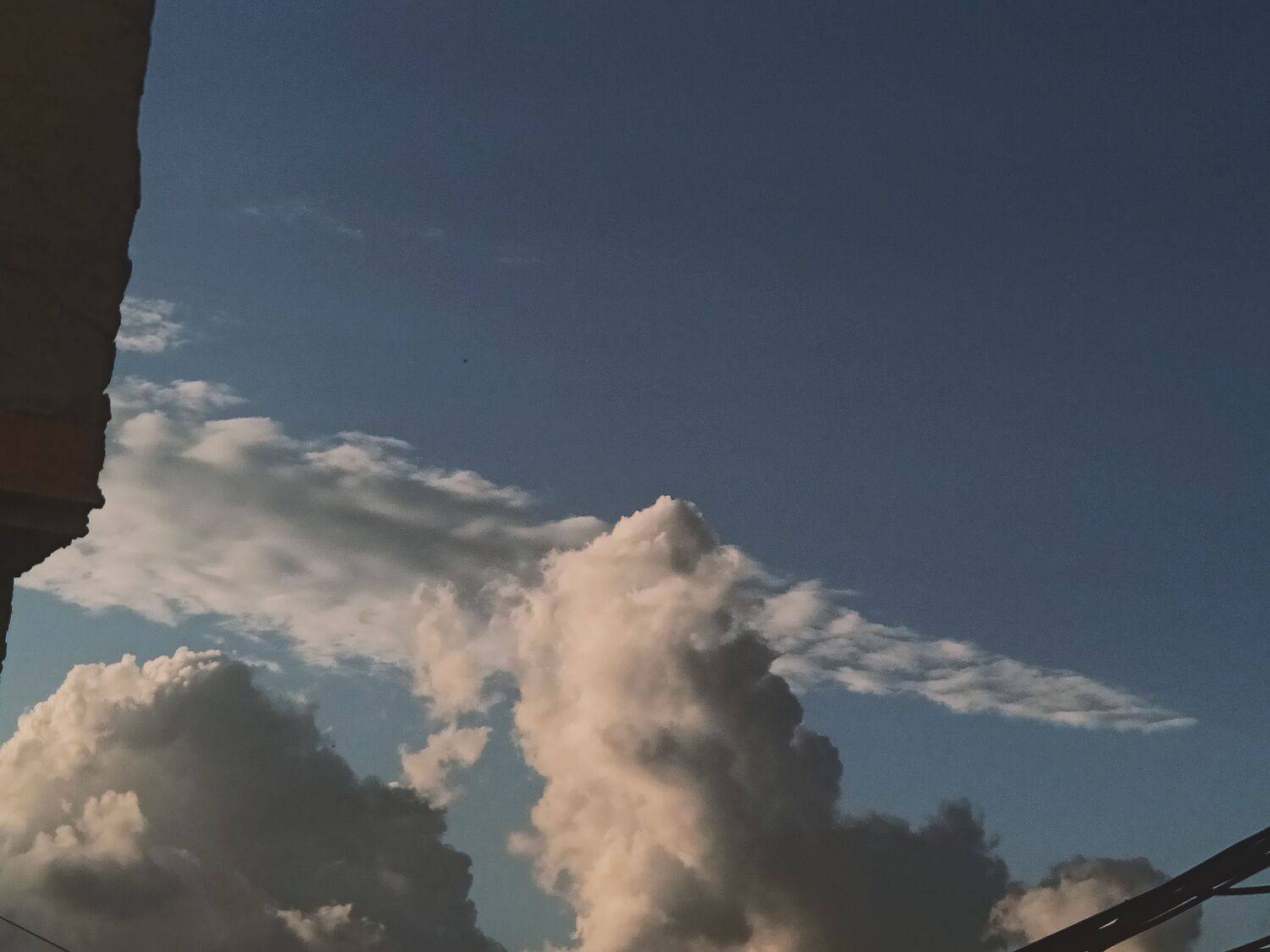 Photo #10478809