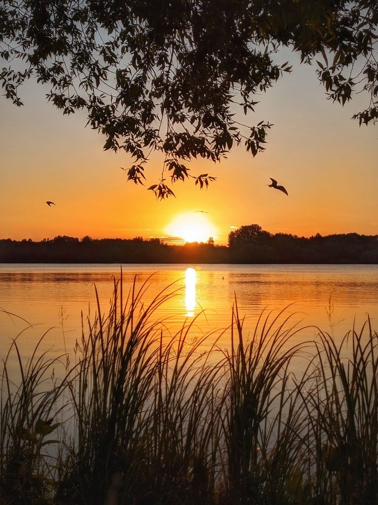 Photograph by Владимир Шаруба