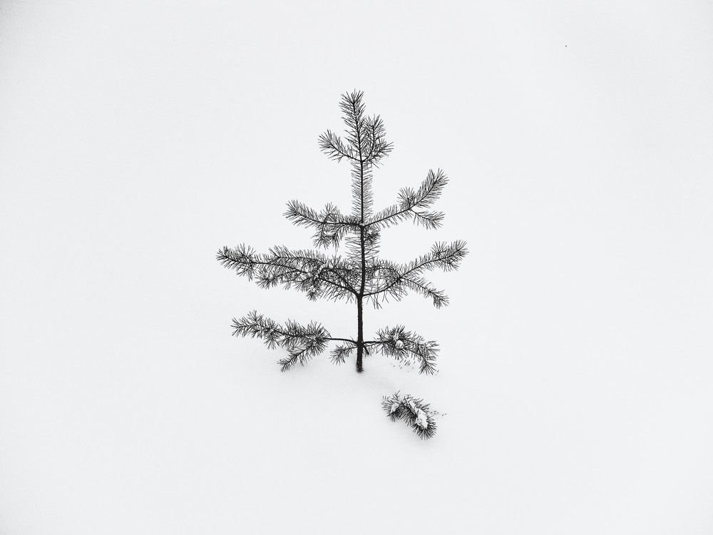 Photograph by Екатерина Салий