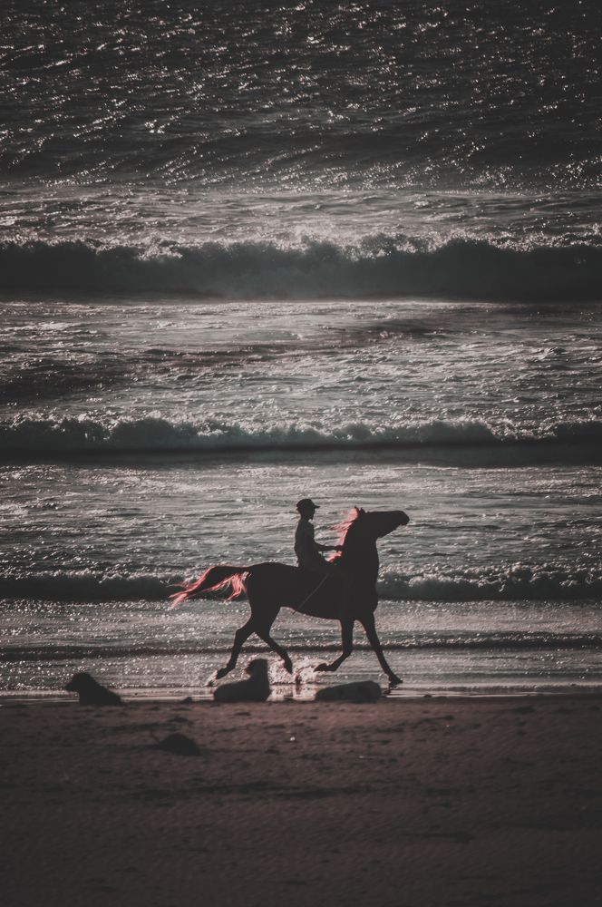 Photograph by rachid bendhiba