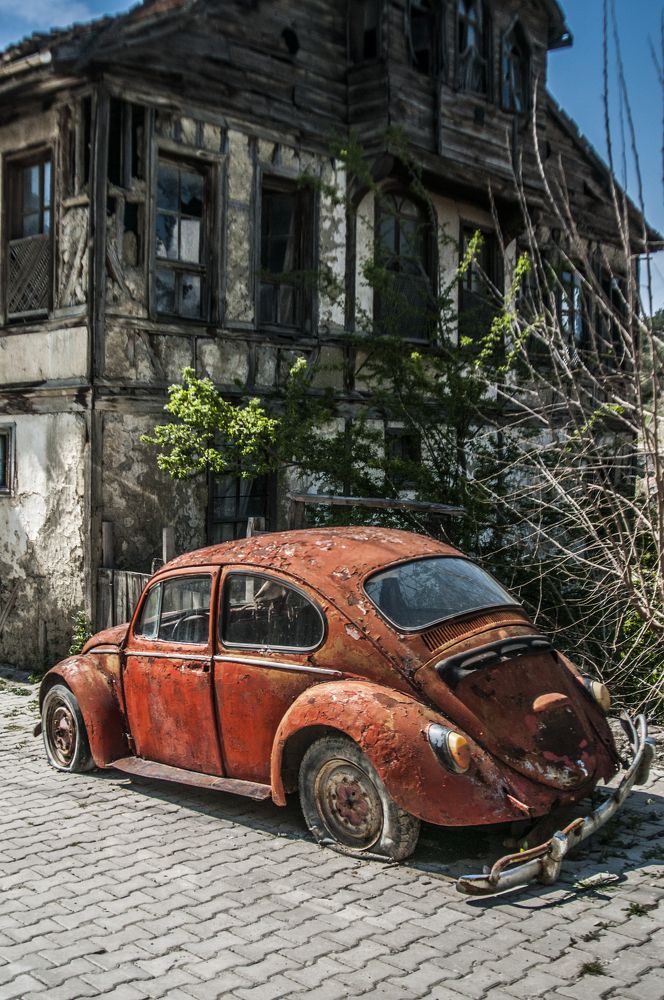 Photograph by Muzaffer Sütlüoğlu