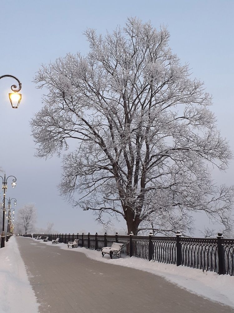 Photograph by Дмитрий Топко
