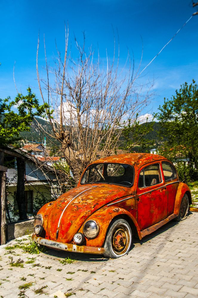 Photograph by Muzaffer Sütlüoğlu