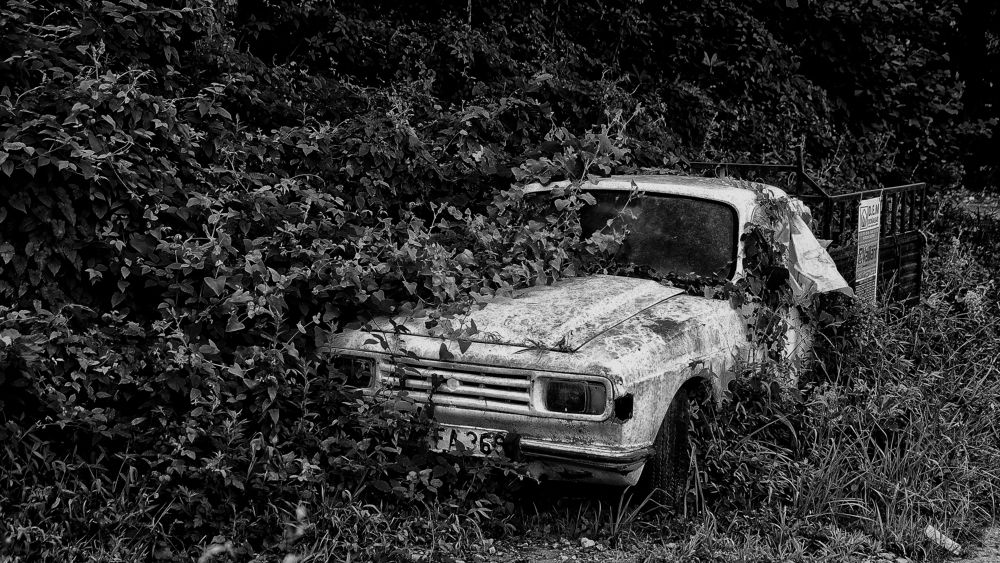 Photograph by Muzaffer Sütlüoğlu