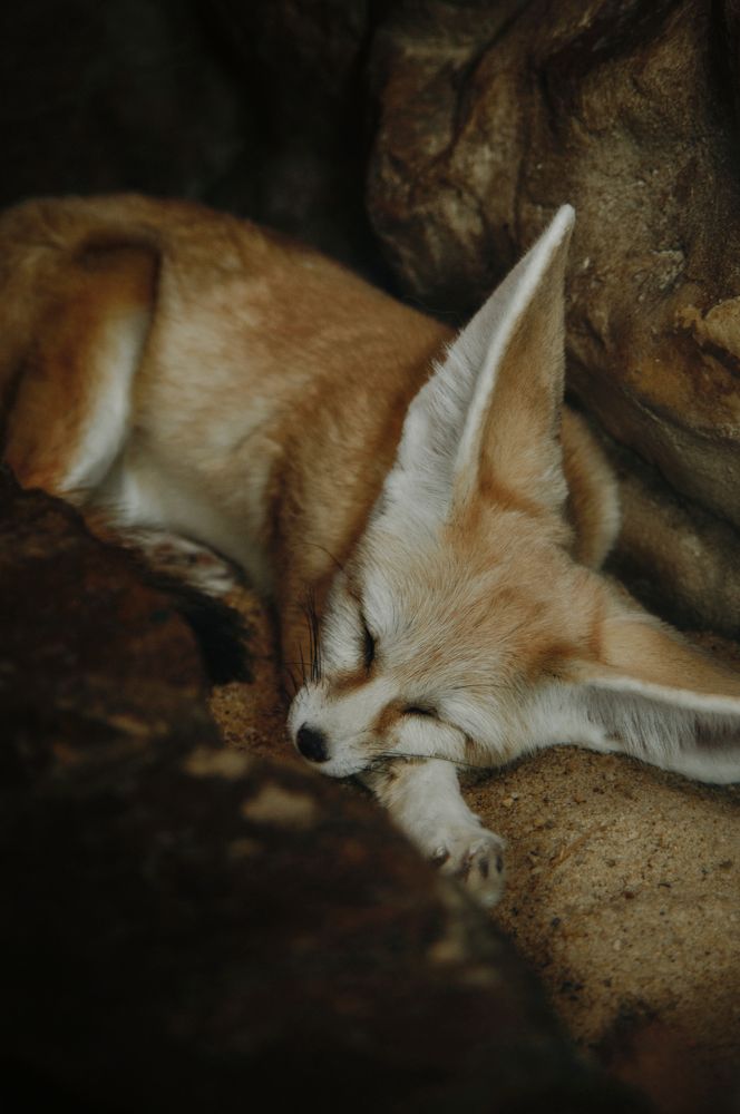 Photograph by Stanislav Shelby