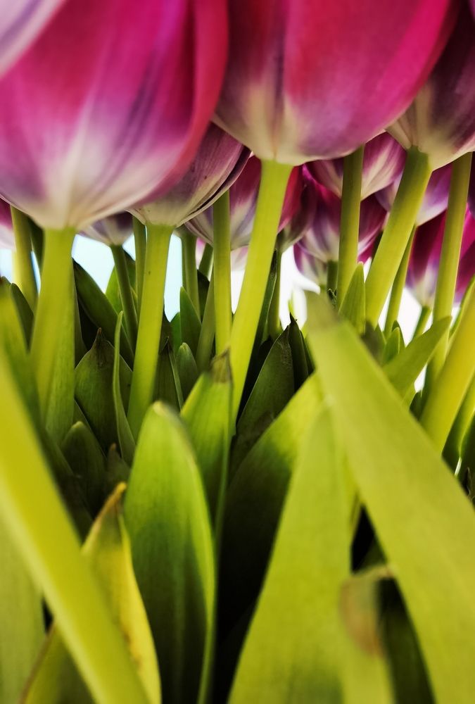 Photograph by Попов Виктор