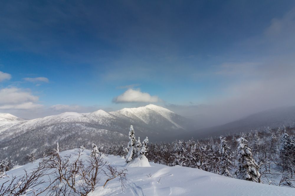 Снежное безмолвие
