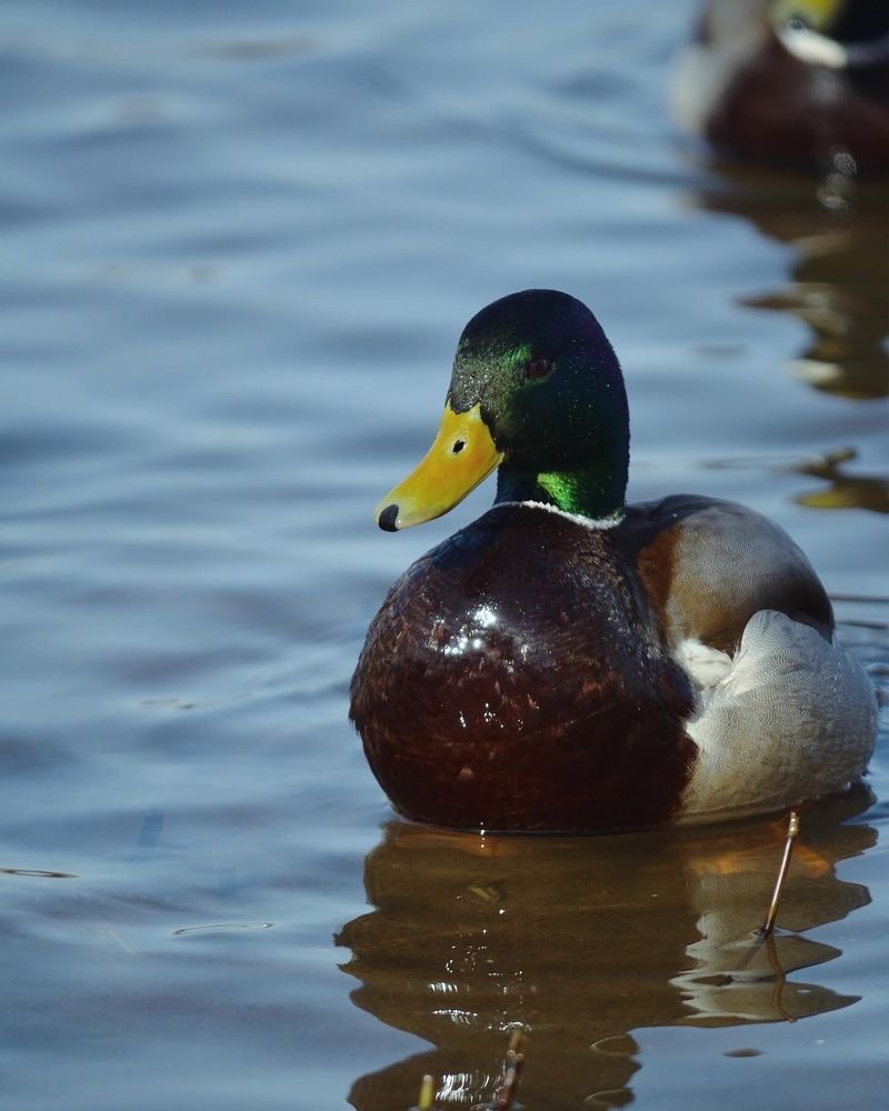 Photograph by Максим Владимирович