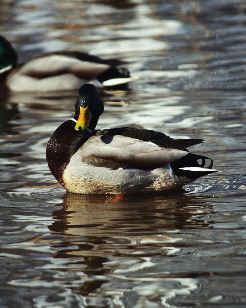 Photograph by Максим Владимирович