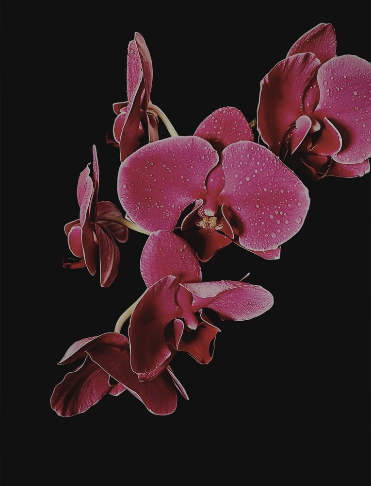 Photograph by Елена Громова