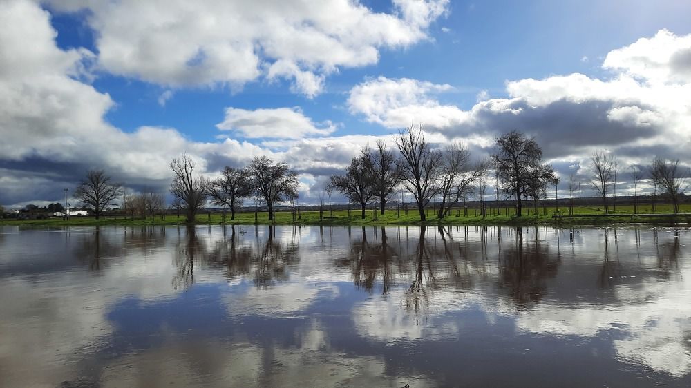 Фотография автора Anabela Maria Lima da Silva