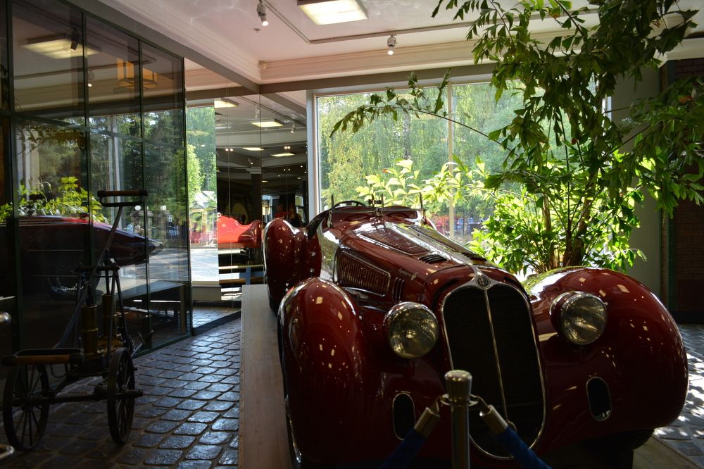 Фотография автора Елена Бракоренко