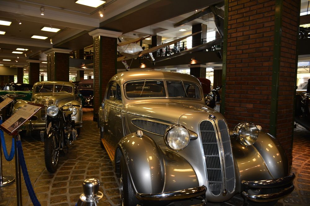 Фотография автора Елена Бракоренко