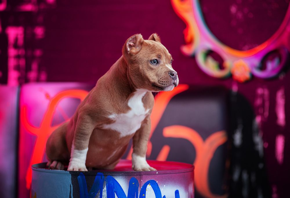 Photograph by Григорьева Юлия