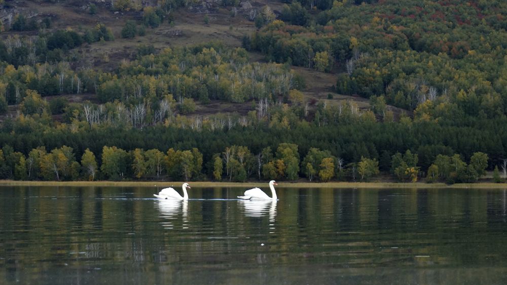 Photograph by Niyaz Mirhaydarov