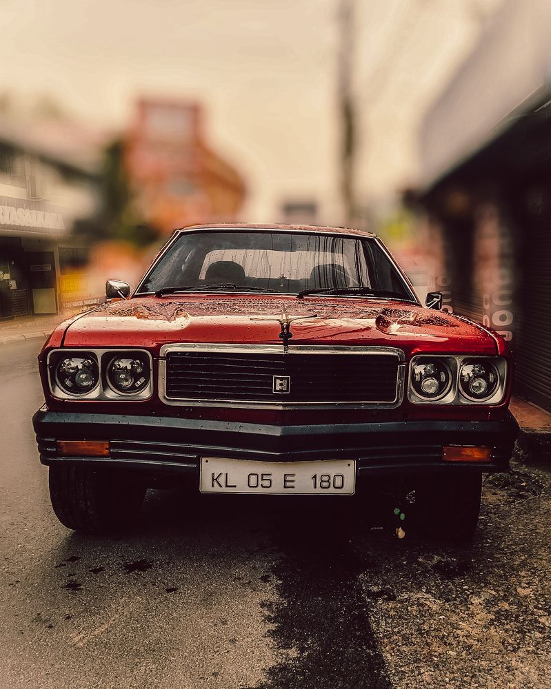 Photograph by Ashiq P F Mohammed