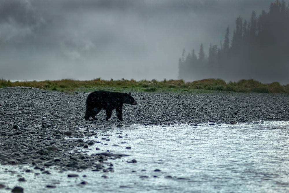 Photograph by Brian Kinghorn