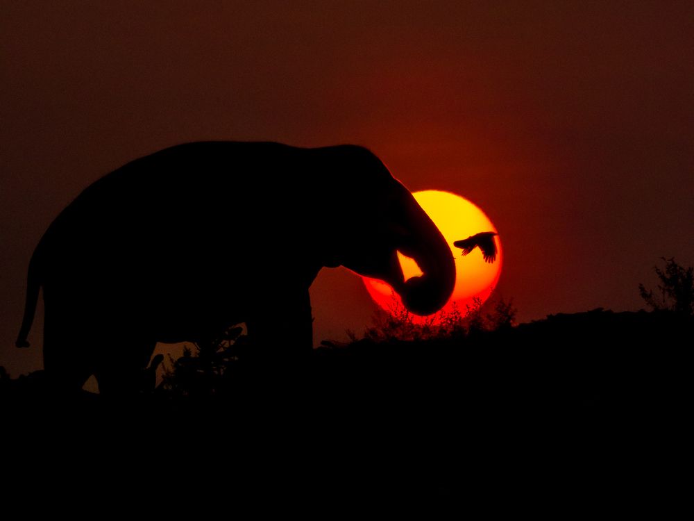 Photograph by Ahamed Jazif