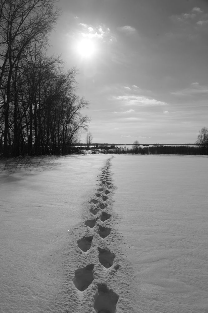 Photograph by Денис Соломачев