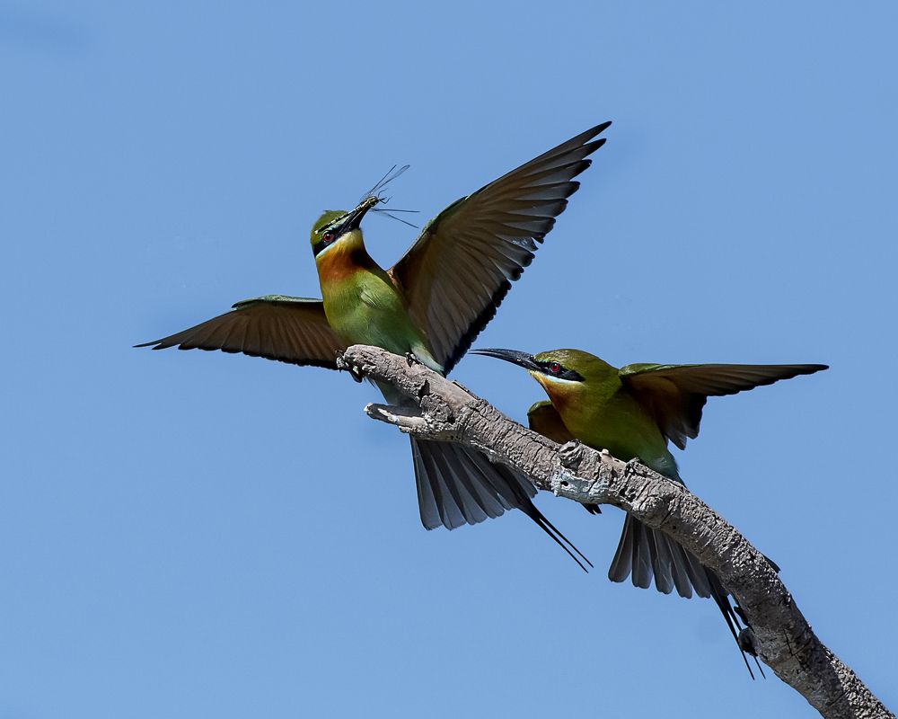 Photograph by Benjamine Dharashan