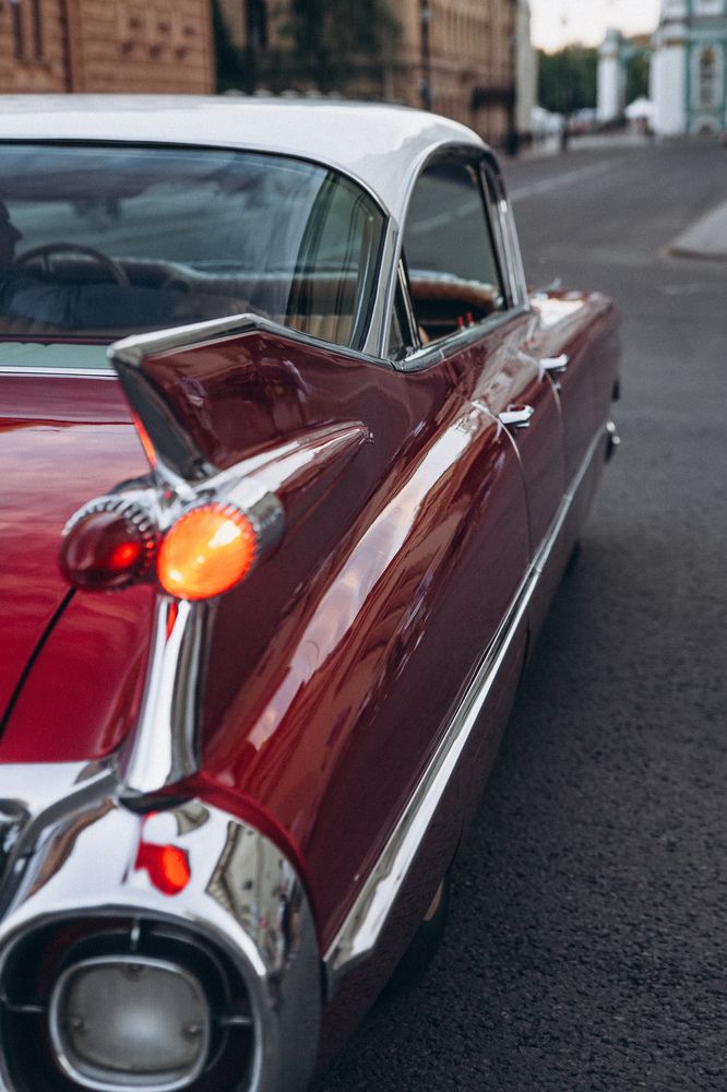 Photograph by Мария Корвин-Кучинская