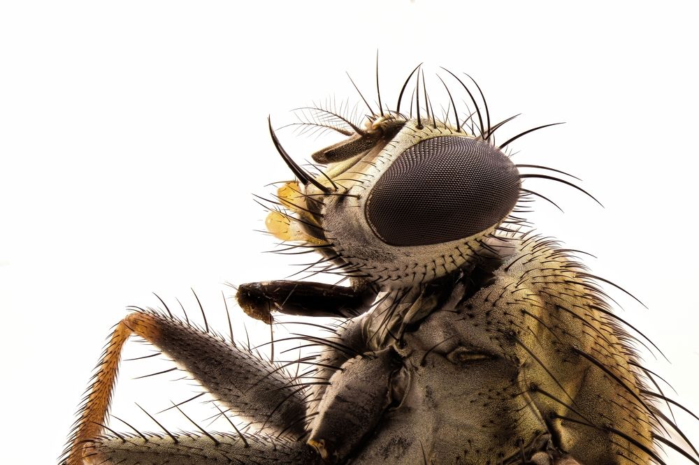 Photograph by Sanjay Verma