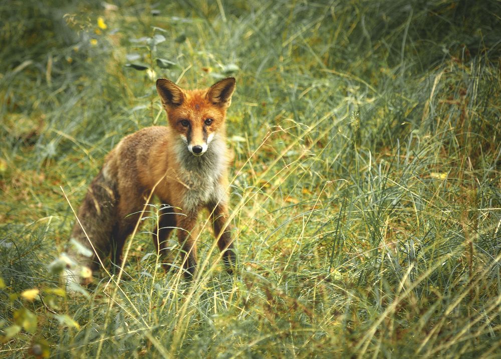 Photograph by Павел Дунюшкин