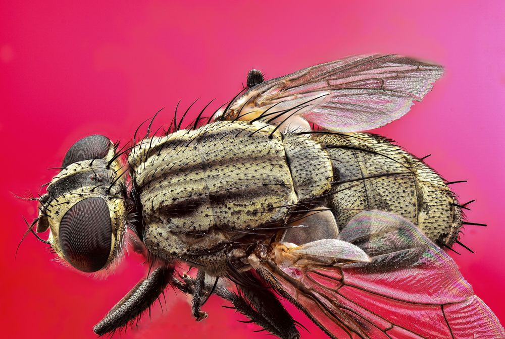 Photograph by Sanjay Verma