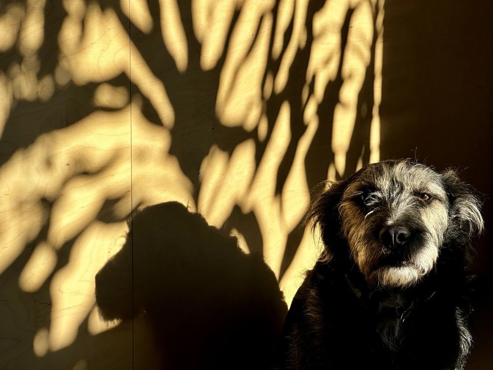 Photograph by Peter TOTH