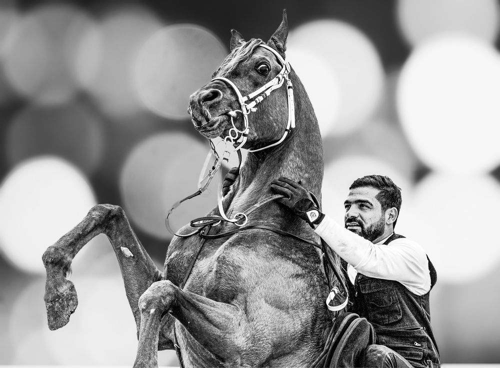 Photograph by Abed Abedaljalil