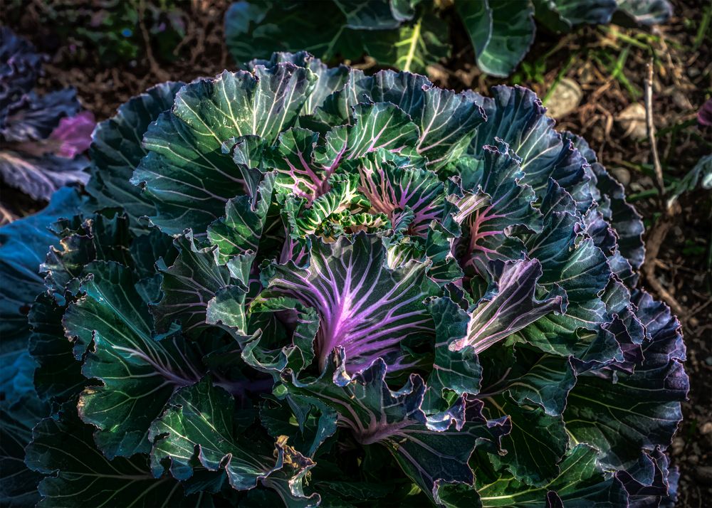 Photograph by Владимир Кваша