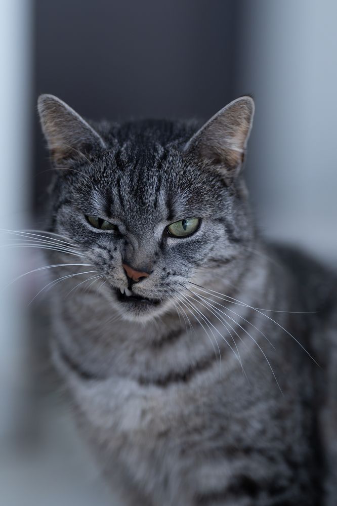 Photograph by Александрас Савицкис