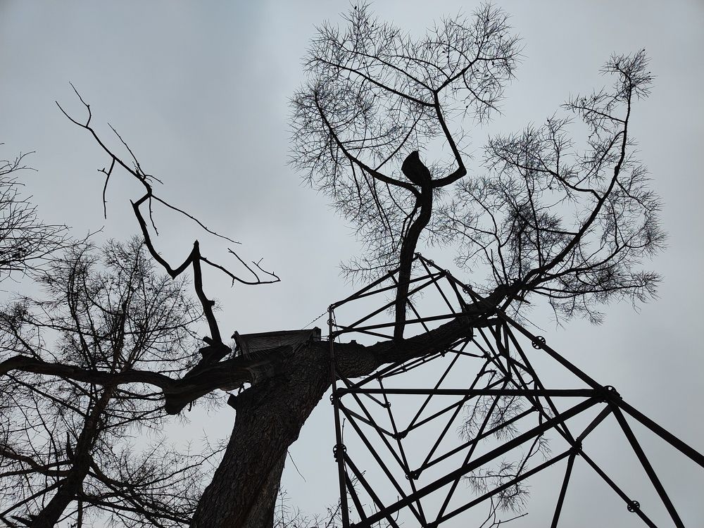 Photograph by Натали ДанКо