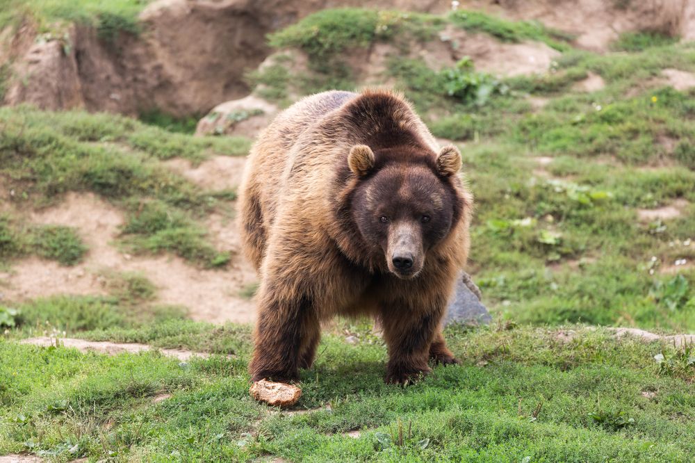 Photograph by Ирина Шумахер