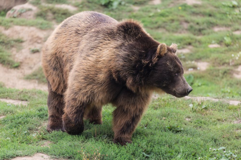 Photograph by Ирина Шумахер