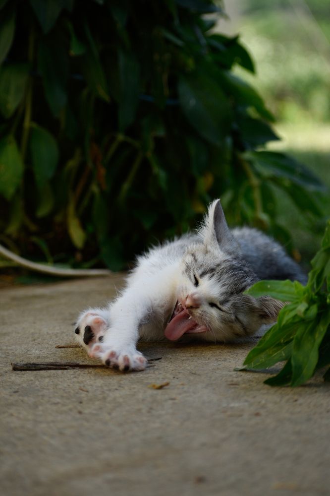 Фотография автора Daniela Stanojkovska