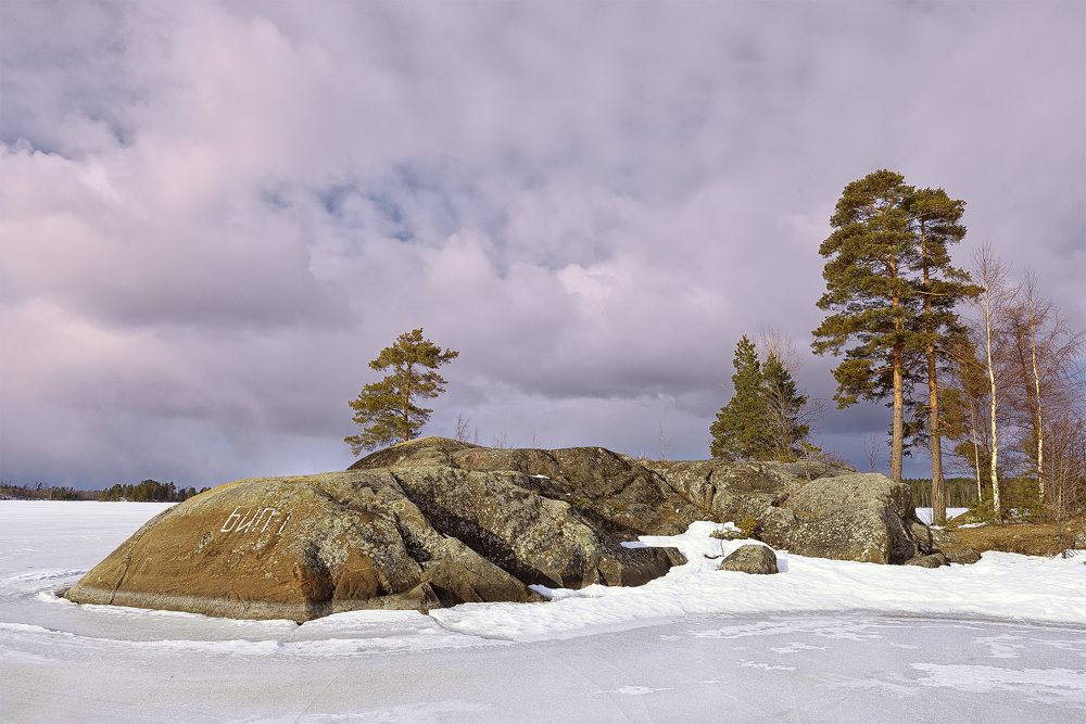 Photograph by Михайлова Елена
