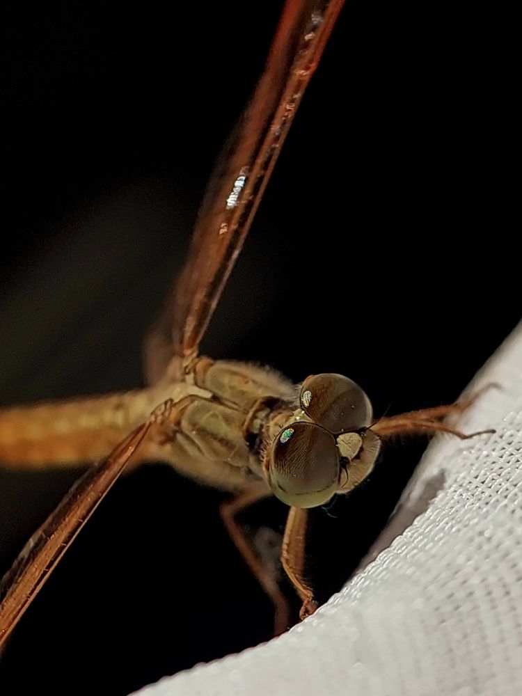 Photograph by Ольга Кирьянова