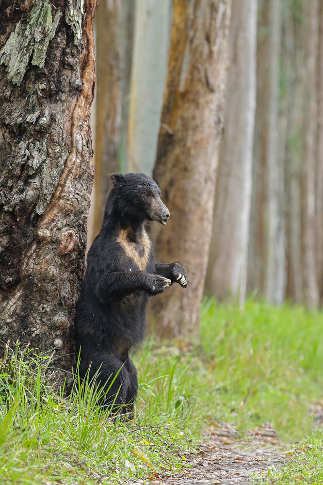 Photograph by Abhiijith Perambra