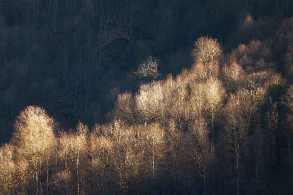 Photograph by Olga Sharikova