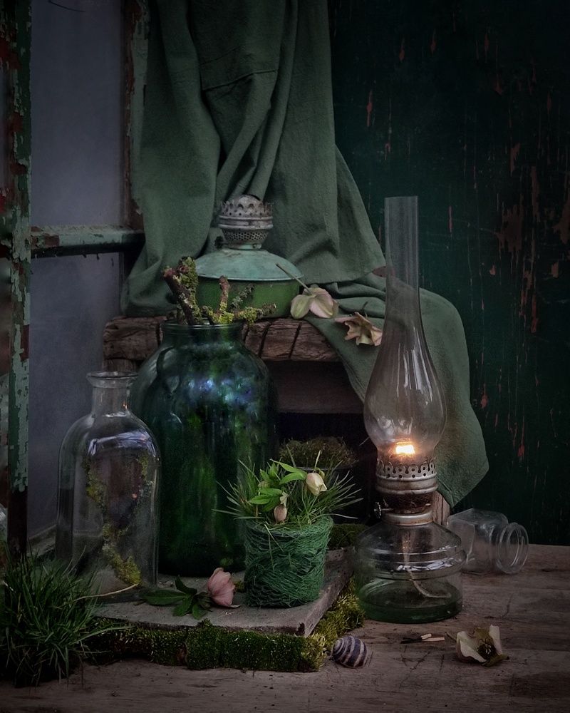 Фотография автора Инга Шевелёва