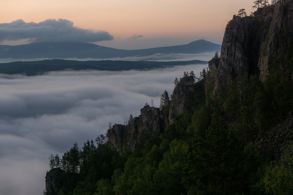 Туманное утро